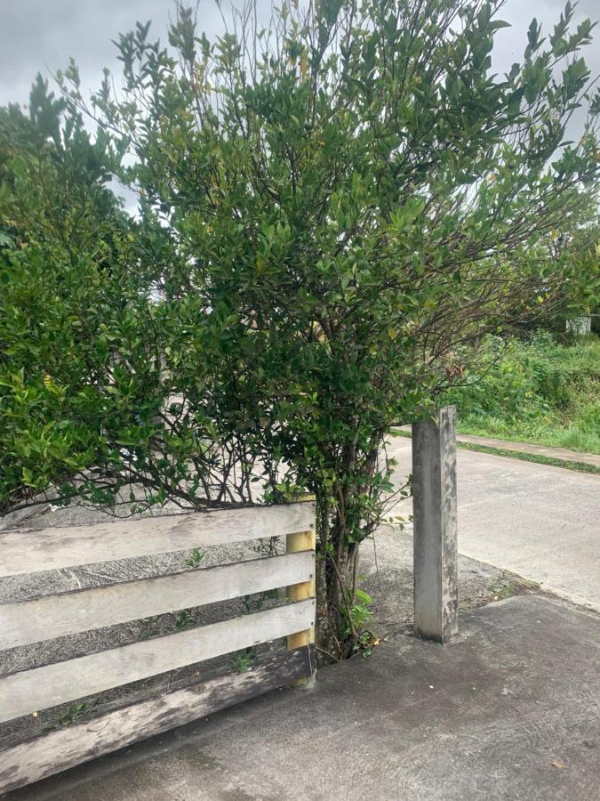 Ferienwohnung Caraibes Loc Ducos Exterior foto